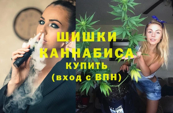 гидра Алзамай