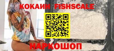 гашик Донской
