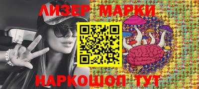 гашик Донской