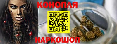 гашик Донской