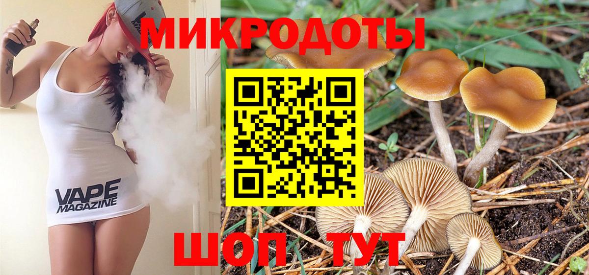 Галлюциногенные грибы MAGIC MUSHROOMS  Вход с VPN  Крымск 